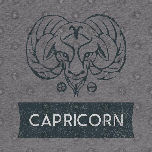 capricorn zodiac sign test by husnimubarok